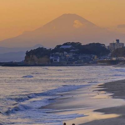 太空果蔬“安家”山西阳高