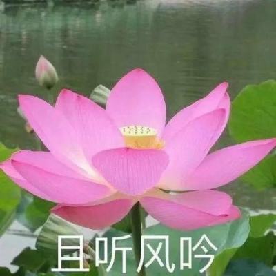 北京银行出席2024金融街论坛年会北交所平行论坛