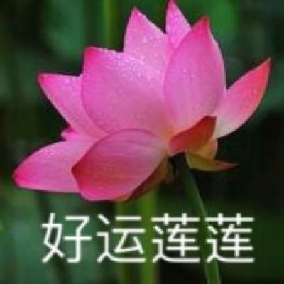 让乡村的“夜”更有魅力（纵横）