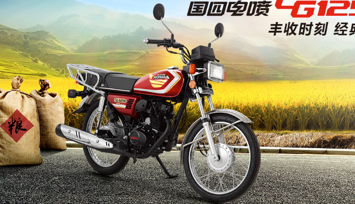 《7000左右的跨骑摩托车》新大洲本田威武110T/本田CG125